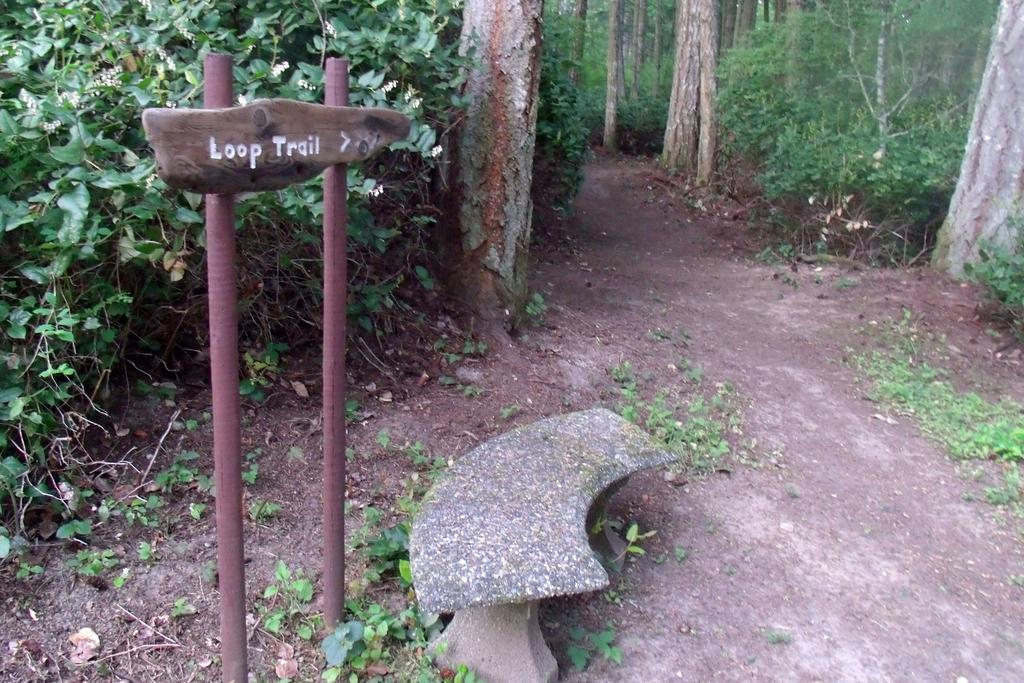 Inn To The Woods Friday Harbor Bagian luar foto