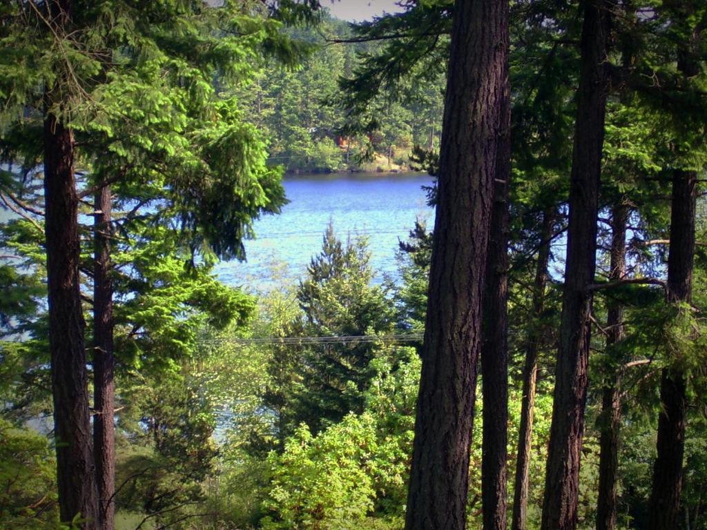 Inn To The Woods Friday Harbor Bagian luar foto
